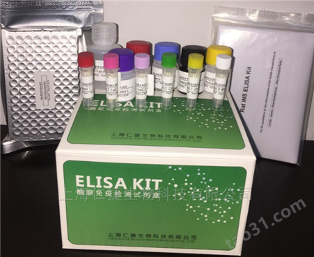 人前列腺特异膜抗体elisa试剂盒技术支持