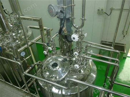 机械搅拌全自动不锈钢二级发酵罐