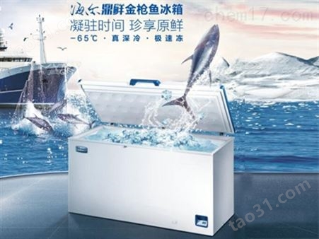 海尔-60度 超低温深海鱼冰箱 DW-60L389