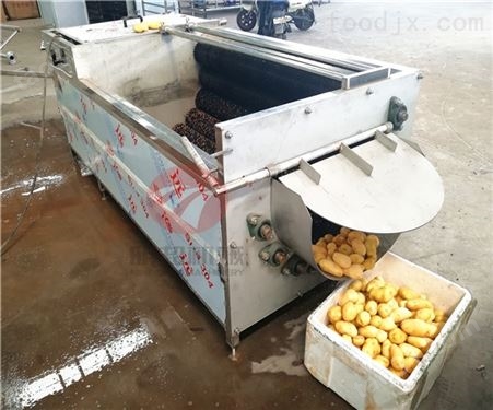 多台组合连续式土豆片去皮清洗机大型工厂