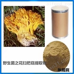 彝族野生菌之花扫把菇提取物珊瑚菌蛋白肽粉