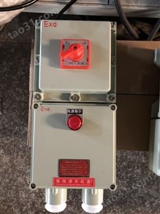 BLK52-1/100A/L内装漏电保护器防爆断路器