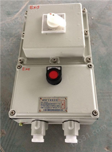 BLK52-1/100A/L内装漏电保护器防爆断路器